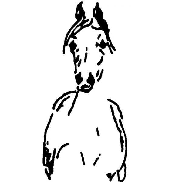 Brenda Esfeld – White Horse Ranch