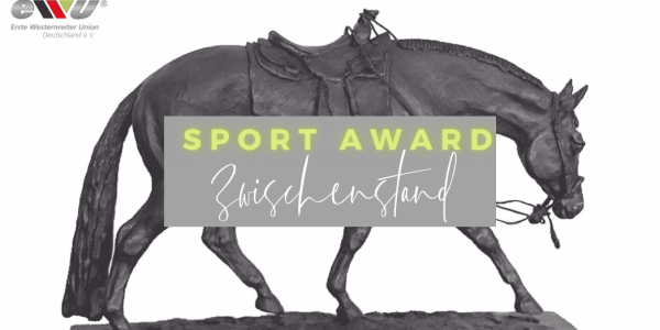 Zwischenstand EWU Sport Award LK3