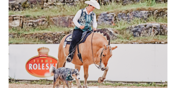 Horse & Dog Trail Trophy 2023 Zwischenstand 31.05.2023