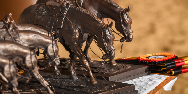 Landessieger EWU SPORT AWARD 2025 Ranch Riding