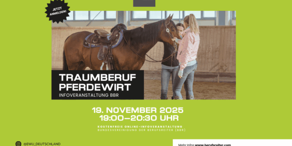Beruf Pferdewirt: Deine Zukunft mit Pferden – Informationsveranstaltung per Zoom