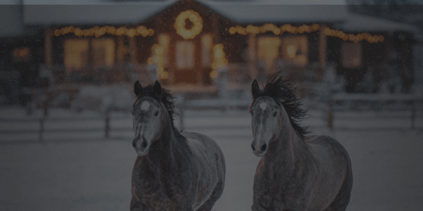 Öffnungszeiten BGS während der Feiertage