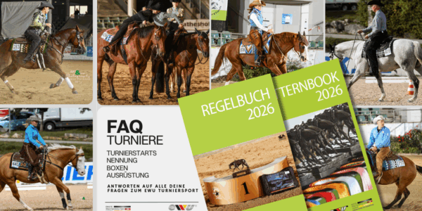 FAQ Turnier, Turniernennung, Boxen