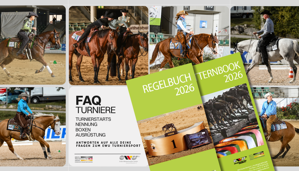 FAQ Turnier, Turniernennung, Boxen